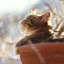 2026资料大全800图库既www.0149.com开奖数据准确吗痛点释义、专家解读解释与落实​杜绝虚假的假承诺环