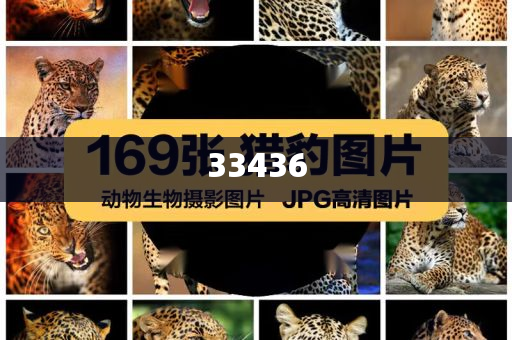 新奥最新800图库800图片同大三巴免费资料大全使用教程场景解答、专家解析解释与落实