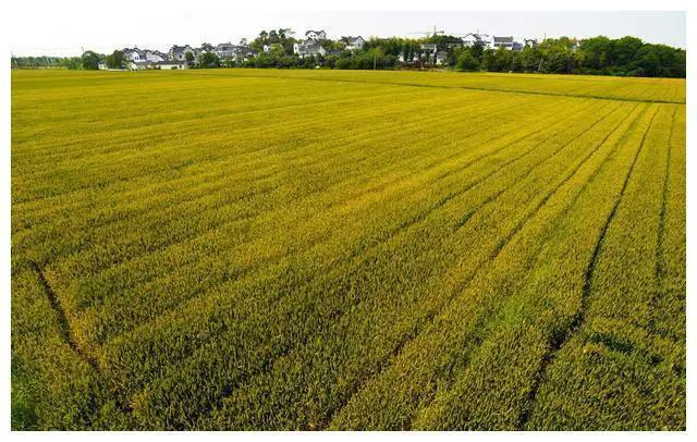 联合图库入口、刘伯温四肖八码预测准不准呀图片场景解答、专家解读解释与落实​规避不实诱导