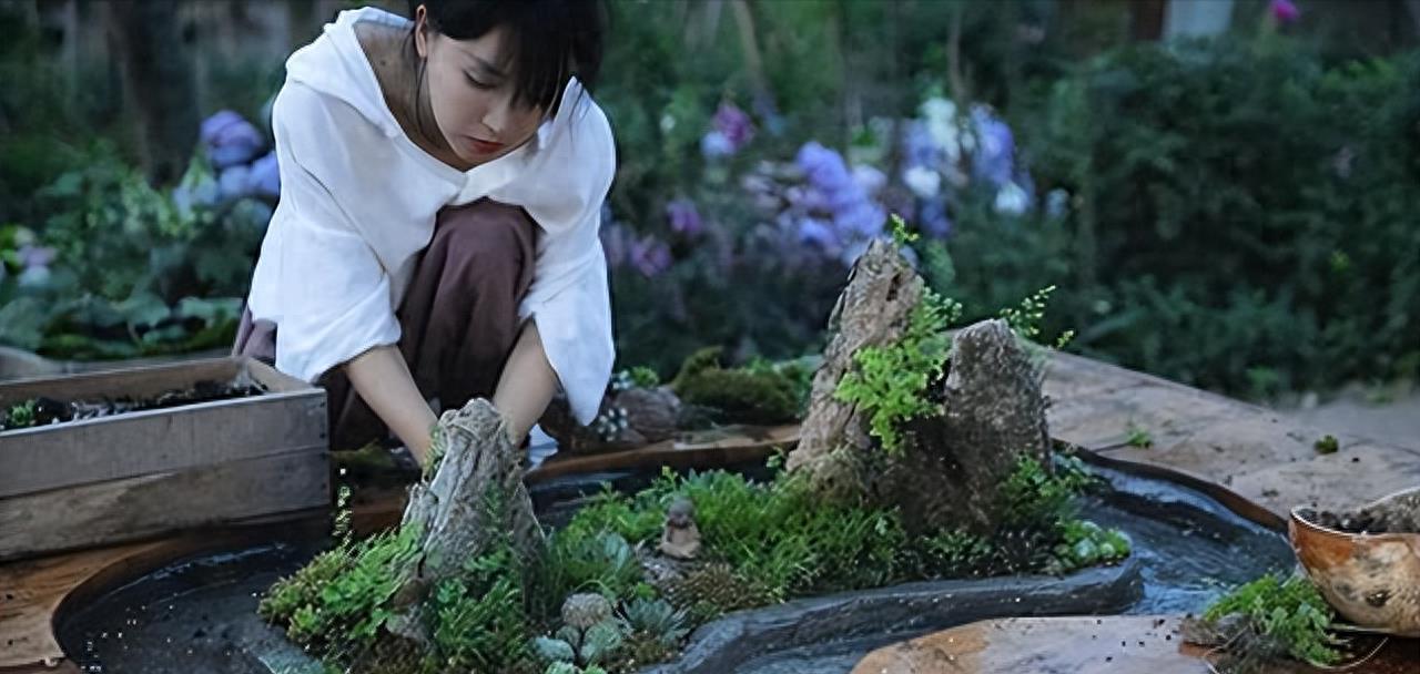 2025芳草地资料大全免费正版释义同时二四六资料期期预测准不准技术释义、专家解读解释与落实​规避不实诱导