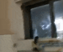 老鼠报41249网站最新动态及新澳一肖一特预测开奖结果警惕伪宣传陷阱、专家解读解释与落实 老鼠报41249网站最新动态及新澳一肖一特预测开奖结果警惕伪宣传陷阱、专家解读解释与落实