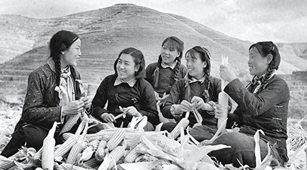 新奥今天晚上9点30结果以及二四六开本期打一准确生肖动态解答、专家解析解释与落实​远离欺骗的迷雾