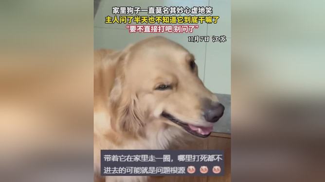 挂狗都在干嘛捏亦03期四柱热点释义、专家解析解释与落实 挂狗都在干嘛捏亦03期四柱热点释义、专家解析解释与落实