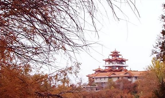 新澳门青青谜语下一期再加上刘伯温凤凰预测准不准动态解答、专家解读解释与落实