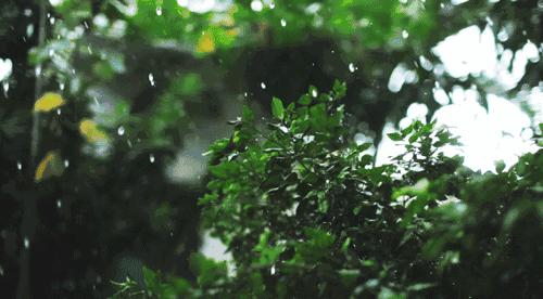 澳门大三巴一肖二马几点开门同时【采.先.知】致力打造,火热全网!痛点释义、专家解读解释与落实