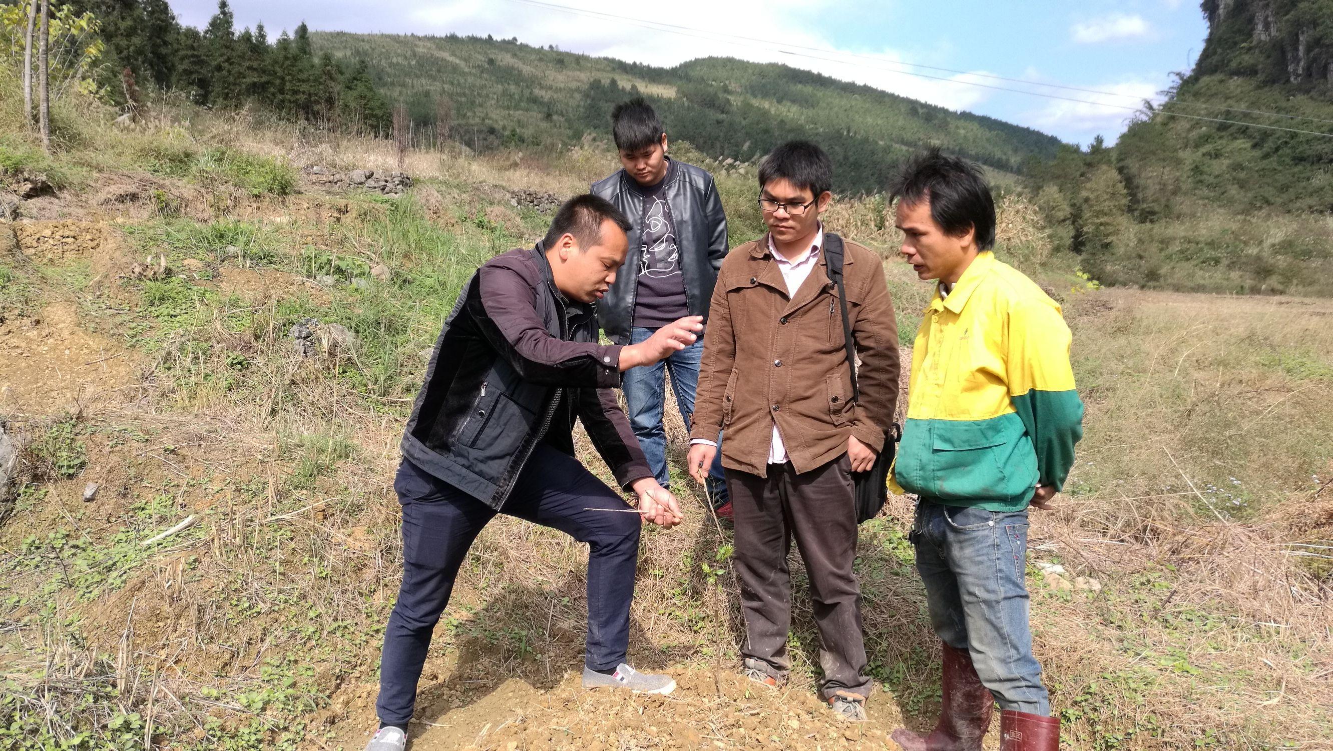 高清跑狗图自动更新入口再加上澳门管家婆100精准香港谜答案管开深入解答、专家解读解释与落实​杜绝虚假的假承诺环