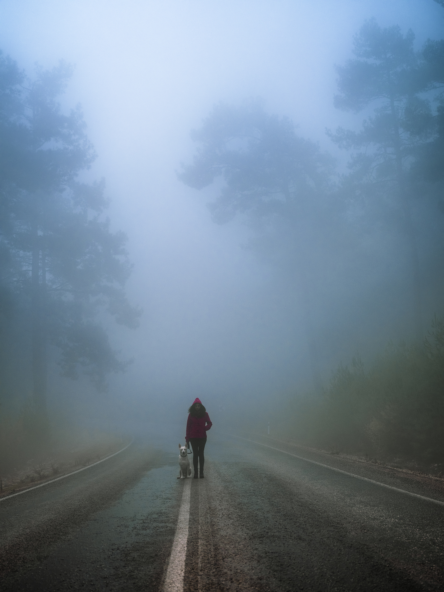 管家婆100精准香港谜题怎么玩再加上www香港特码com解释与落实、专家解析解释与落实​远离欺骗的迷雾